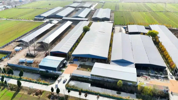 四中全会精神在基层丨灵璧县禅堂镇：“红色引擎”牵引养牛产业“牛”起来