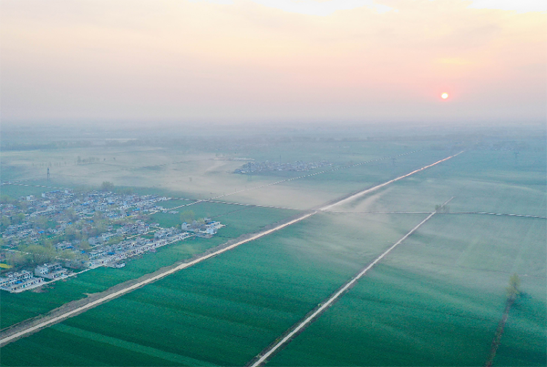 奋斗百年路启航新征程灵璧加速农业农村现代化助推乡村振兴
