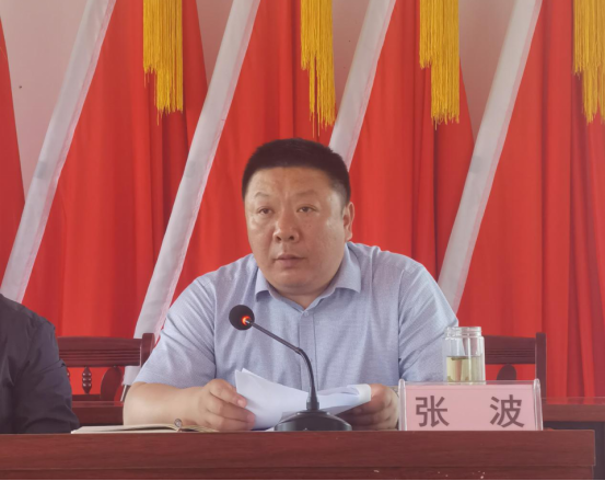张波指出,全镇党员干部要进一步领会党史学习教育的深刻意义精神,迅速