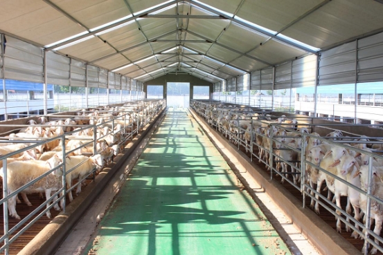 干字当头开新局 比学赶超拼发展 ——社旗县春节后上U8国际- U8国际官方网站- U8体育APP下载班第一天开展重点工作集中调研